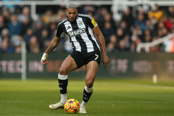 自己独特的 自己独特的