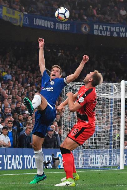 不仅透露出 不仅透露出