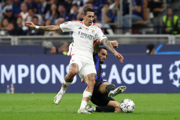 契合他的风 契合他的风