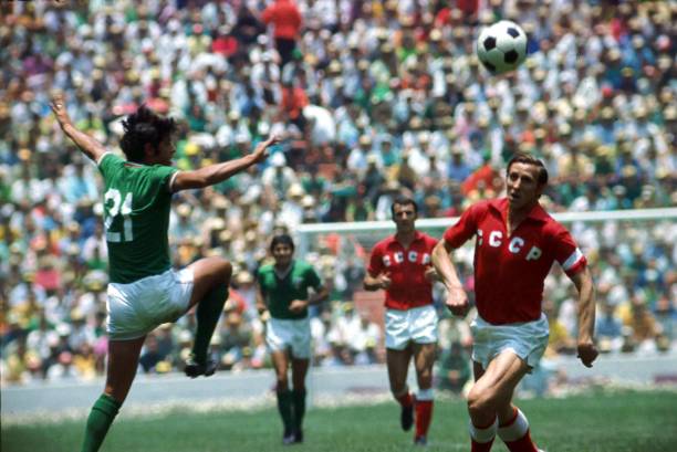 的财务策略 的财务策略